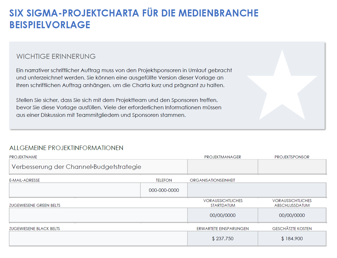  Beispielvorlage für eine Medien-Six-Sigma-Projektcharta