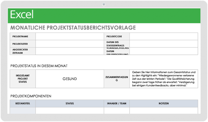 Vorlage für den monatlichen Projektstatusbericht